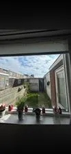 Kamer te huur: Rembangstraat, Nieuw-Guineabuurt Haarlem