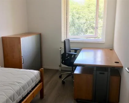 Kamer te huur: Rietveldseweg, Parijsch Vlinderbuurt Culemborg