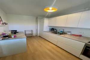 Woning te huur: Rijsenburgselaan, Driebergen-Noordwest Driebergen-Rijsenburg
