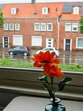 Kamer te huur: Ringbaan-Oost, Ind.terrein Kanaalzone Noord-Oost Tilburg