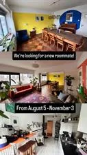 Room for rent: Rochussenstraat, Nieuwe Westen Rotterdam