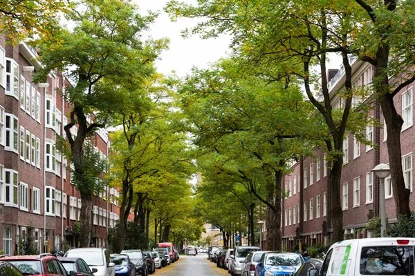 Appartement te huur: Roerstraat 69, Scheldebuurt-Midden Amsterdam