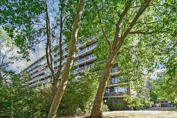 Apartment for sale: Roland Holstlaan 900, Roland Holstbuurt Delft