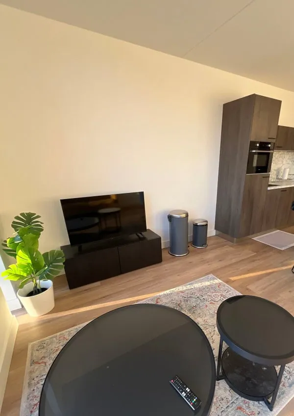 Woning te huur: Rosmolenplein, Besterd Tilburg