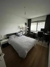 Kamer te huur: Royaards van den Hamkade, Egelantierstraat, Mariëndaalstraat e.o. Utrecht