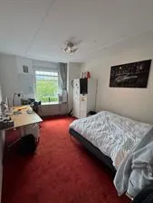 Kamer te huur: Rozenburglaan, Kralingen Oost Rotterdam