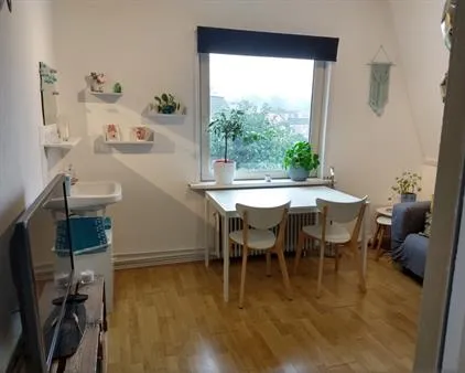 Kamer te huur: Rozenlaan, Ginneken Breda