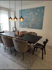 Room for rent: Ruischenstein, Elsrijk Oost Amstelveen