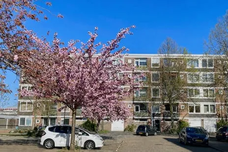 Appartement te koop: Ruslandstraat 25, Landenbuurt Haarlem