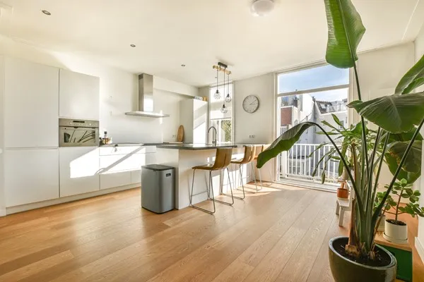 Appartement te huur: Rustenburgerstraat 229-3, Van der Helstpleinbuurt Amsterdam