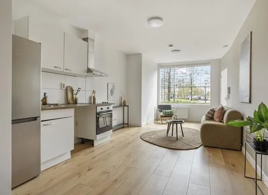 Studio te koop: Ruysdaelplein 41, Welgelegen Rijswijk