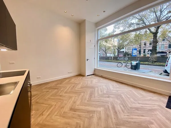 Appartement te huur: 's-Gravendijkwal 132B, Oude Westen Rotterdam