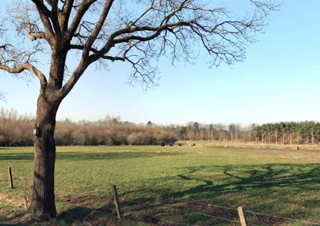 Woning te koop: Scherpenzeelseweg, Maarn - Maarsbergen - Bosgebied Maarsbergen