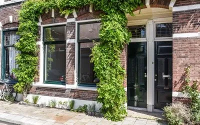 Appartement te koop: Schneevoogtstraat 13ZW, Rozenprieel-zuid Haarlem