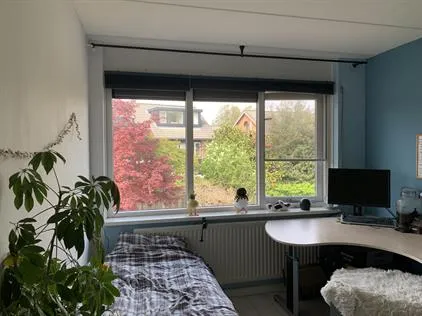 Kamer te huur: Sientje van Houtenlaan, 't Zwering Enschede