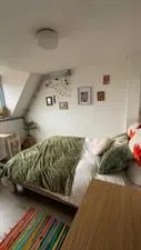 Kamer te huur: Singelstraat, Olofsbuurt Delft