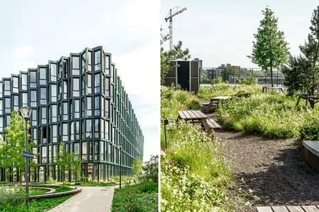 Appartement te koop: Sint Maartenpad 5, Romolenpolder-oost Haarlem