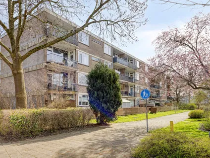 Appartement te koop: Smedenweg 39, Gildenwijk Gorinchem