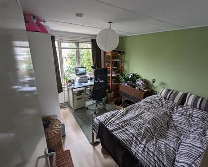 Kamer te huur: Sonoystraat, Presikhaaf III Arnhem