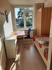 Kamer te huur: Speenkruid, Beilen Beilen
