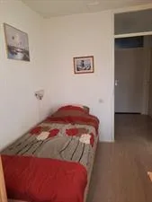 Room for rent: Speenkruid, Beilen Beilen