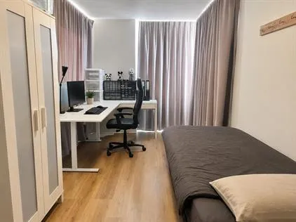 Kamer te huur: Springerstraat, Mensfort Eindhoven