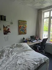 Kamer te huur: St Adrianusstraat, Tuindorp Eindhoven