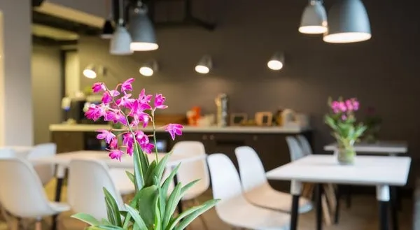 Woning te huur: Stadhoudersplantsoen, Stadhoudersplantsoen 'S-Gravenhage