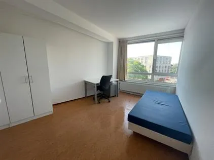 Kamer te huur: Stadsbrink, De Buurt-Oost Wageningen