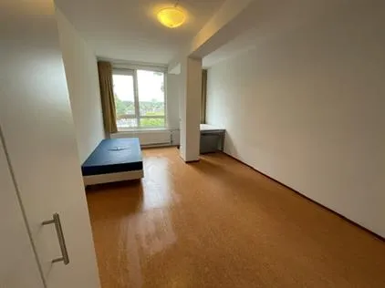 Kamer te huur: Stadsbrink, De Buurt-Oost Wageningen