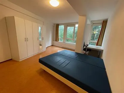 Room for rent: Stadsbrink, De Buurt-Oost Wageningen