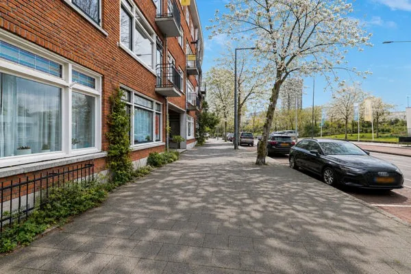Home for rent: Stationssingel, Provenierswijk Rotterdam