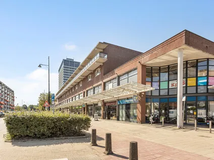 Appartement te koop: Steenvoordelaan 490, Artiestenbuurt Rijswijk