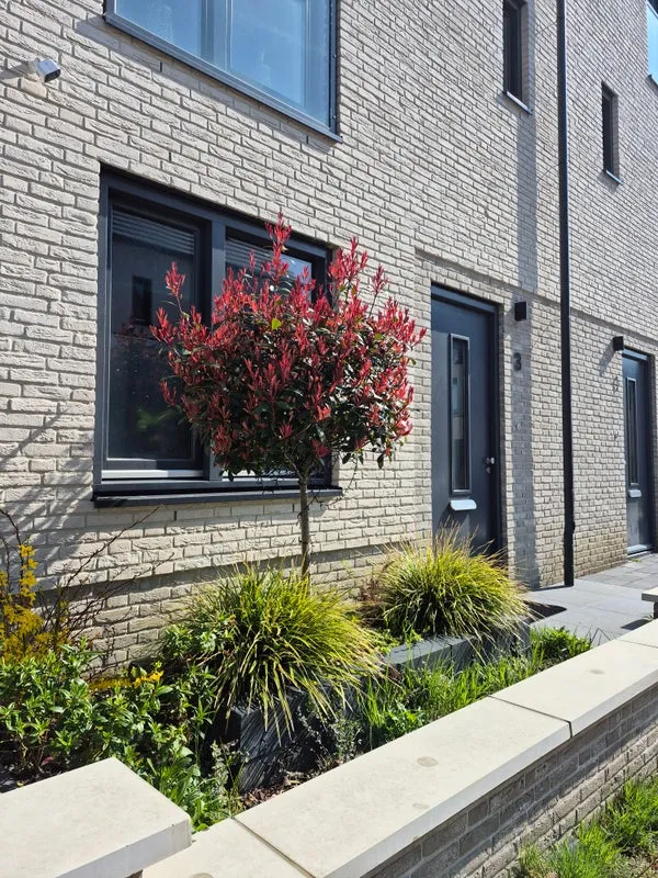Woning te huur: Stijging, Blixembosch-Oost Eindhoven