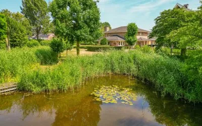 Vrijstaande woning te koop: Ternate 53, De Burgt Barneveld