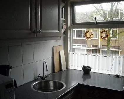 Room for rent: Ternatestraat, Indische Buurt-Zuid Delft