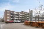 Appartement te koop: Terneuzenstraat 137, Arnhem