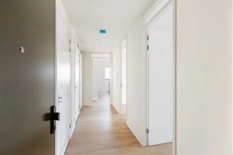 Apartment for rent: Tesselsestraat 67, Duindorp 'S-Gravenhage