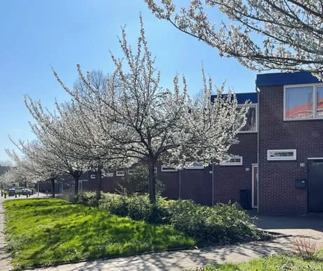 Tussenwoning te koop: Theodorus Majofskistraat 38, Jacques Veltmanbuurt Amsterdam