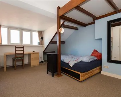 Room for rent: Thorbeckelaan, Vruchtenbuurt 'S-Gravenhage