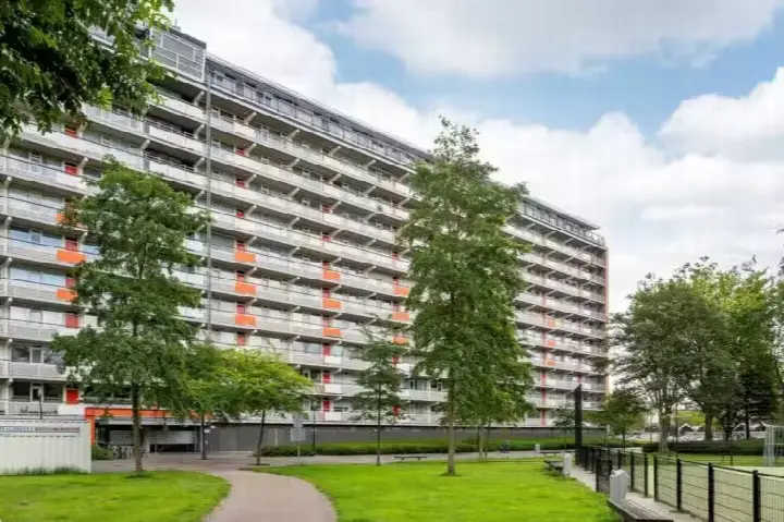 Home for rent: Bachplein, Bachplein Schiedam