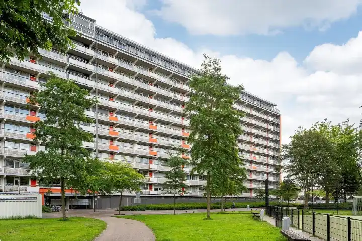 Home for rent: Bachplein, Bachplein Schiedam