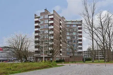 Appartement te huur: Beethovenstraat 243, Prinses Irenebuurt Amsterdam