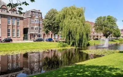 Appartement te huur: Bergsingel 133B03, Liskwartier Rotterdam