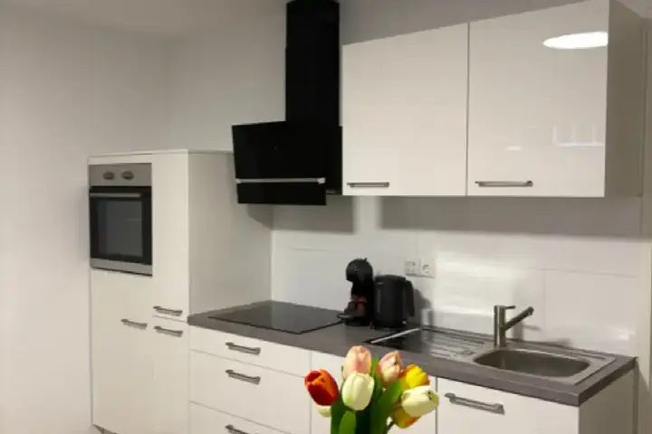 Apartment for rent: Bevrijdingsstraat 19D, Binnenstad Wageningen
