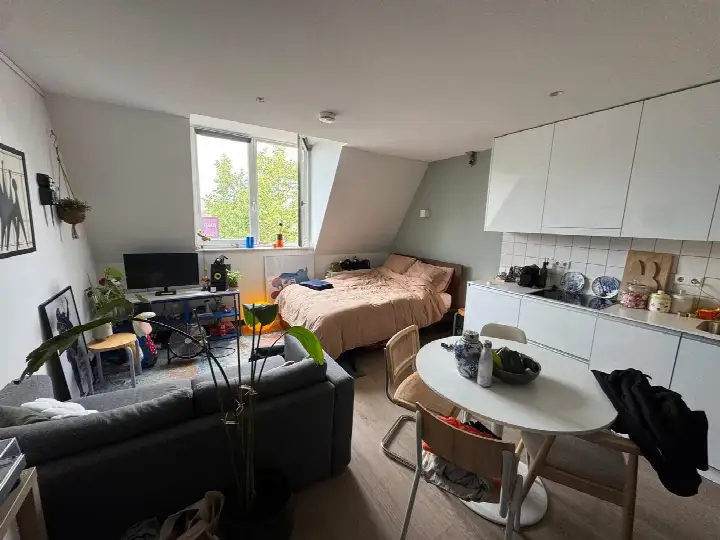 Studio te huur: Biltstraat 119-16, Buiten Wittevrouwen Utrecht