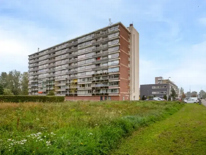 Apartment for sale: Bleulandweg 54, Boerhaavekwartier Gouda