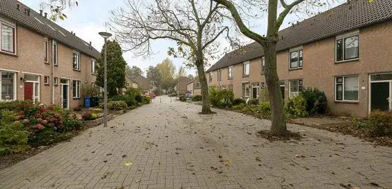 Terraced house for rent: Bottelroos 81, Ommoord Rotterdam