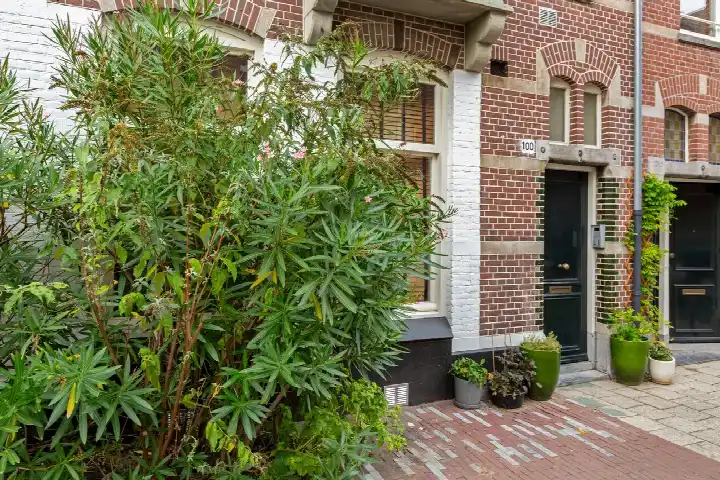 Appartement te koop: Brederodestraat 100-2, Cremerbuurt-West Amsterdam