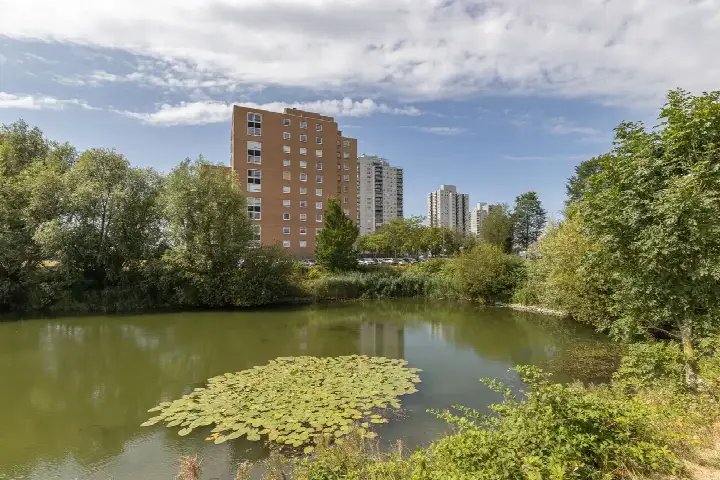 Apartment for sale: Buitenbassinweg 869, De Esch Rotterdam